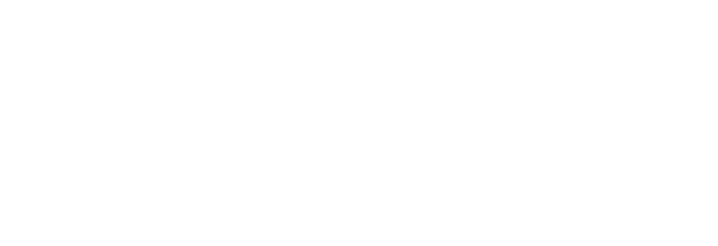 ZapOne, One Charge, One Go